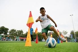 中国棒球队战术体系完善路径