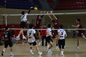 足球五大联赛最具效率前锋榜公布，黑马登顶